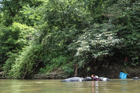 Two snorkelers swimming in a river with a brush-covered stream bank in the background