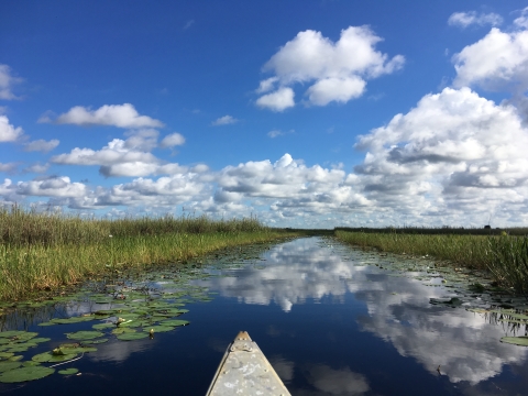 The bow of a canoe glides across calm waters with blue skies and puffy white clouds reflecting off the canoe trail at Arthur R. Marshall Loxahatchee National Wildlife Refuge.