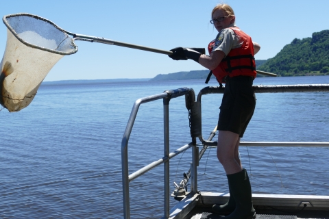 Woman on boat with fish net in hand on Mississippi river.