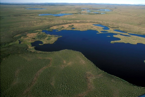 Aerial view of Selawik National Wildlife Refuge Wetlands