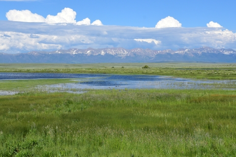 Clouds hover over wetland with snow capped mountains in the background.