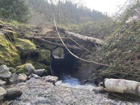 Myrtle Creek culvert