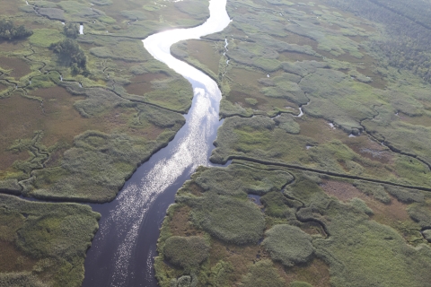 an aerial view of a river flowing through a wetland