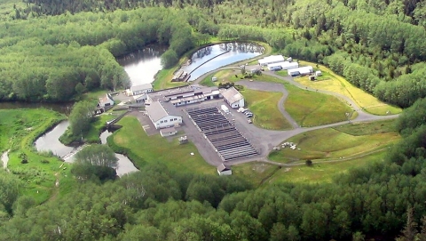 Aerial view of hatchery buildings adjacent to water and surrounded by trees.