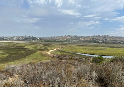 landscape of green wetlands with houses on hills in background