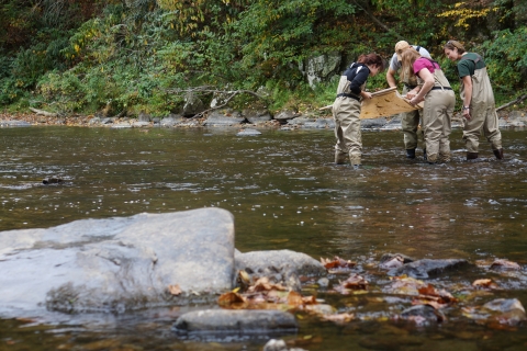 4 people in stream look in a seine they hold above water