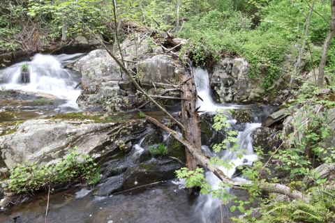 Clean water rushes around rocks and fallen trees as it flows down a rocky hill through a forest in New Jersey. 