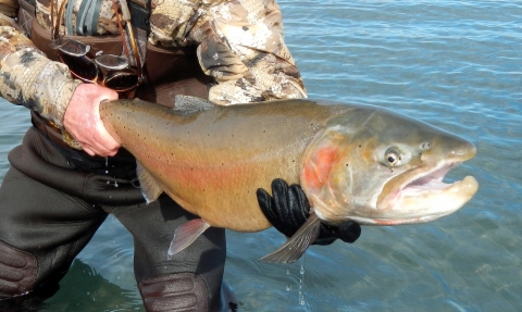 man holding a large fish