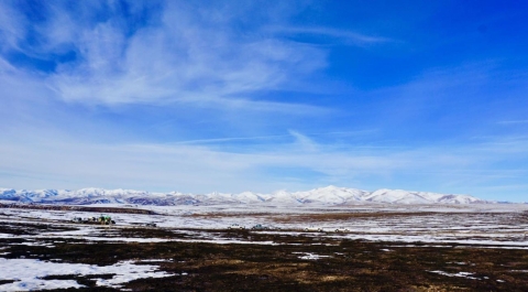 Snow covering a charred landscape with snow capped mountains in the background.