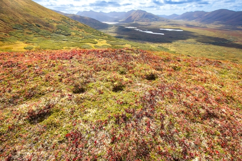 a hillside with footprints