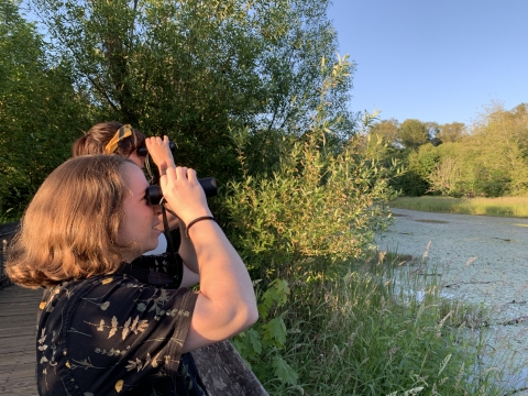 Two people stand at a boardwalk rail with binoculars to the eyes, overlooking a wetland, warm evening light shining from behind them on a clear blue-sky day.