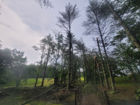 Hatchery storm damage June 2023