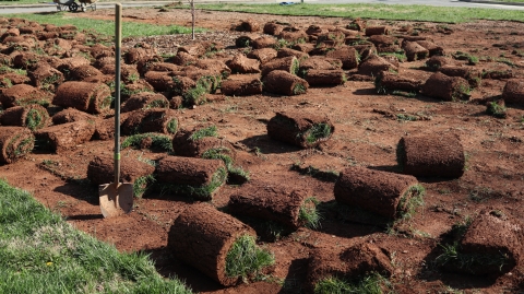 Field with several rolls of sod scattered about