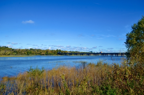 A blue lake on a clear, sunny day surrounded by yellowing vegetation.