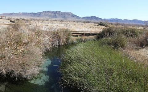 From top to bottom, purple mountains, tan grasses and then blue water with green grasses flow.