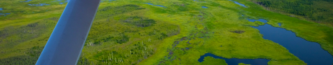 Wetlands, as seen from a bush plane near the North Slope