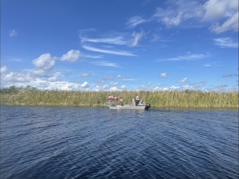 Electrofishing A.R.M. Loxahatchee NWR