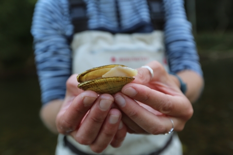 Hands hold up a small yellow mussel shell. The flesh of the recently deceased mussel sticks out from the shell. The person holding the mussel wears a striped blue shirt and overalls.