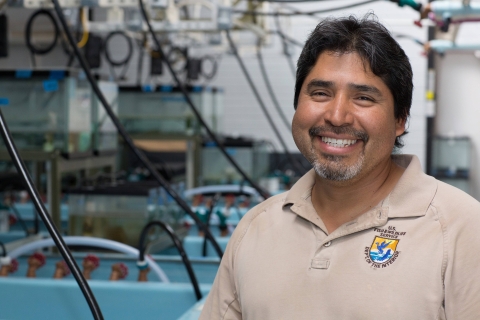 FWS Biologist in the San Marcos Aquatic Resources Center 