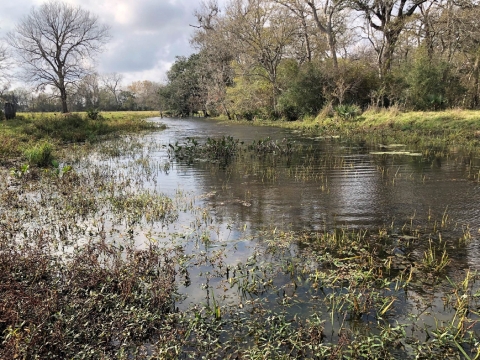 San Bernard National Wildlife Refuge