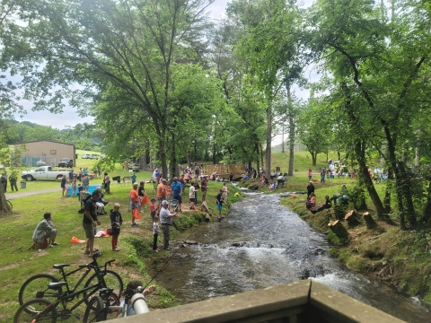 Families spread out along Dale Hollow NFH creek during the annual kids fishing rodeo