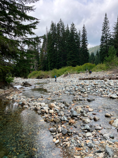 A scenic view of a creek with rocks and large, evergreen trees. There are two people working in the distance.