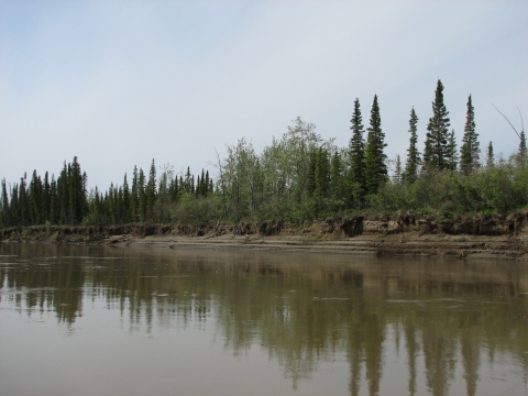 River with the river bank in the background with trees and brush. The riverbank, trees and brush are reflected in the water.