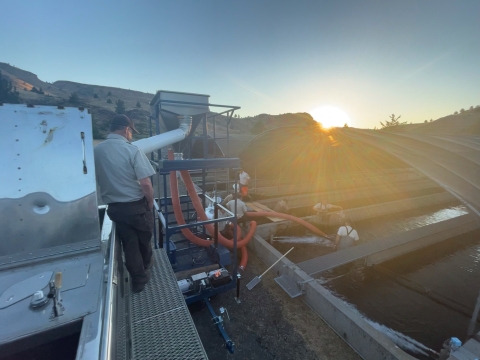 A view of a man standing on a walkway at a fish hatchery above water filled raceways with people working below. The sun is rising over the hills in the distance.