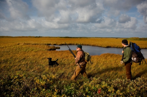 Two hunters dressed in fall (cool weather) attire with a black labrador retriever in a grassy marsh on a partly cloudy day.