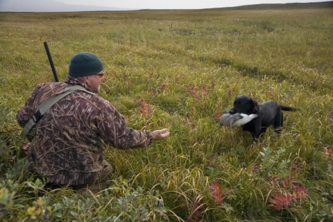 A black dog brings a bird to a hunter wearing camoflauge.