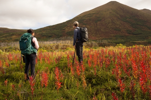 Two hikers standing in a field of red wildflowers