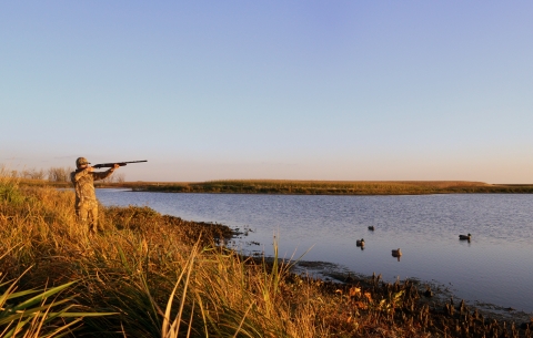 Waterfowl hunting