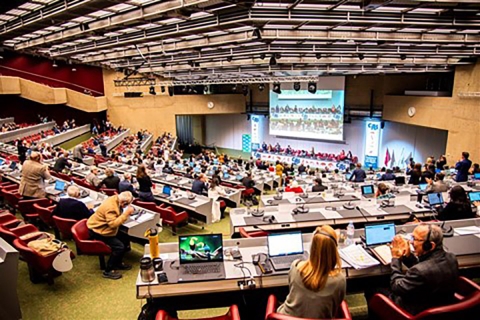 large auditorium filled with people looking at screen on stage