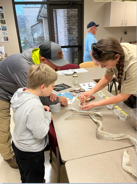 Child learning about insects