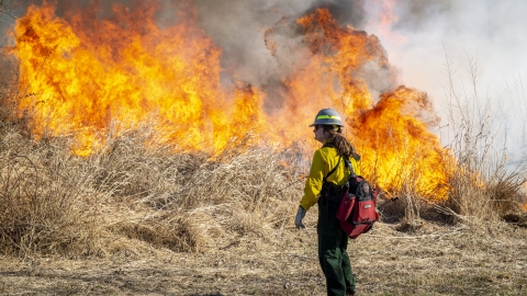 firefighter viewing blaze of fire.