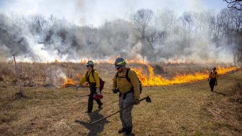 firefighters walking past fire flame