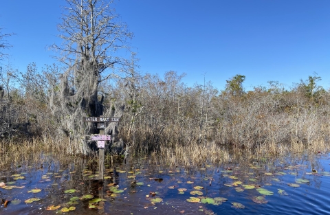 A sign in the swamp.