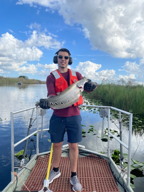 Aquatic Invasive Species Early Detection Survey, A.R.M. Loxahatchee NWR 