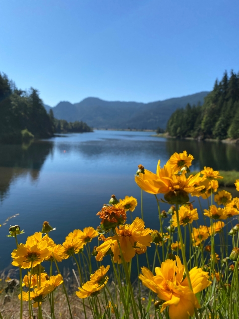 Little White Salmon River into Drano Lake