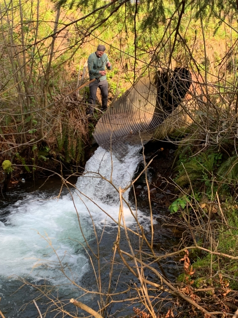 Myrtle Creek culvert