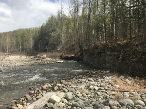 a river with rocks and trees