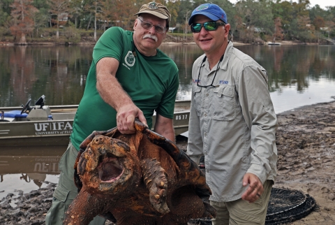 Kevin Enge, left, FWC, and Travis Thomas, UF, right, pose while holding a large male Suwannee alligator snapping turtle with their boat and Suwannee River in the background. This is the 15th year the two men have been trapping and monitoring the Suwannee alligator snapping turtle to conserve and protect them. 