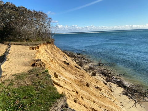 A closeup of an eroding coastal bluff overlooking the ocean. Fallen trees sit at the bottom of the beach below.