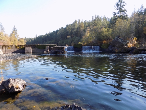 Serene river scene featuring water flowing over rocks and trees.