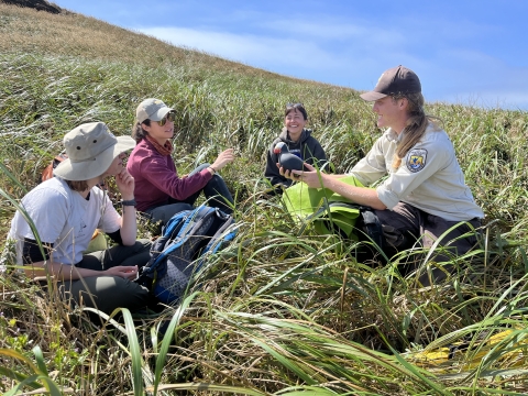 USFWS staff hold a Tufted Puffin decoy on a grassy slope on one of the offshore rocks a part of Oregon Islands National Wildlife Refuge