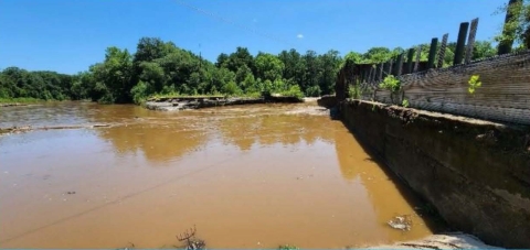  Murky brown river with trees in the background.