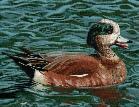 2024 Alaska Junior Duck Stamp Winner