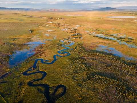 A photo from a high aerial perspective of the Wyoming toad 2023 release. 