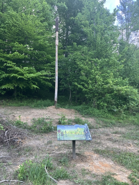 A photo of an interpretive sign in front of an artificial bat roost. The artificial bat roost is composed of a telephone pole with fake bark wrapped around the top quarter. 