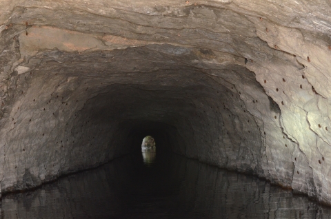 Many little bats hibernate on the walls of a tunnel. 